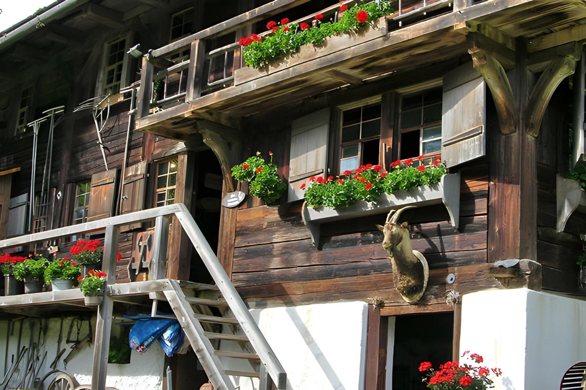 Ferienhaus Voelkle Хинтерцартен Екстериор снимка